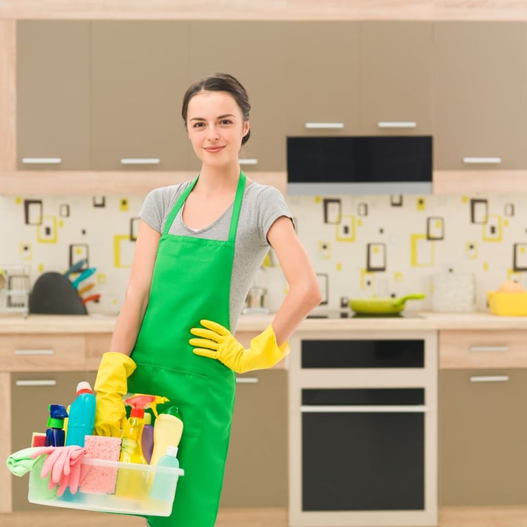 Sparkle The Cleaning Service
