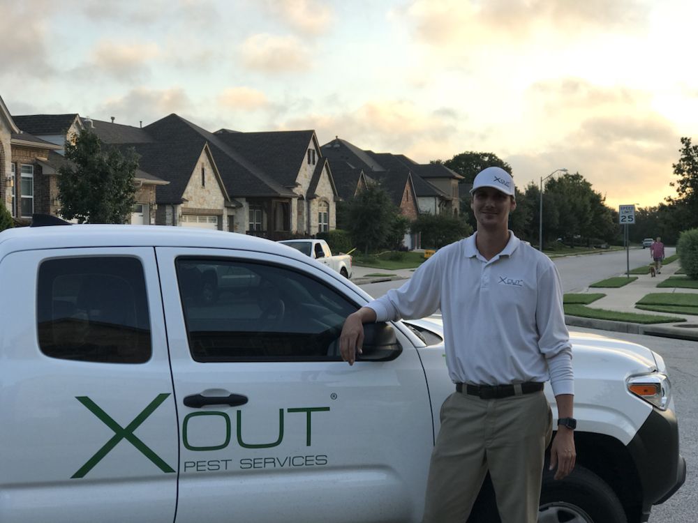 X Out Pest Services