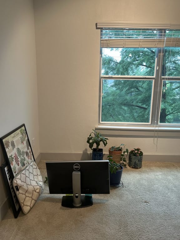 College Moving Nerds