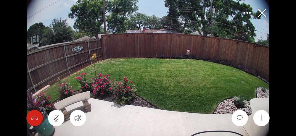 DFW Wildlife And Pest Control