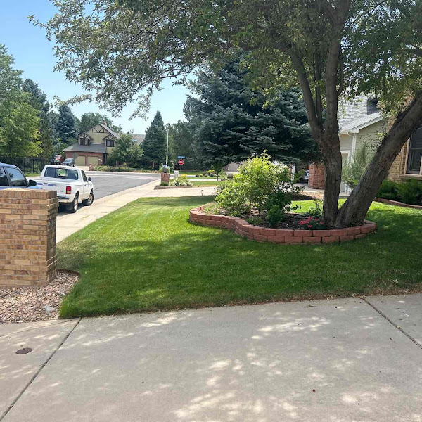 LawnStarter - Arlington