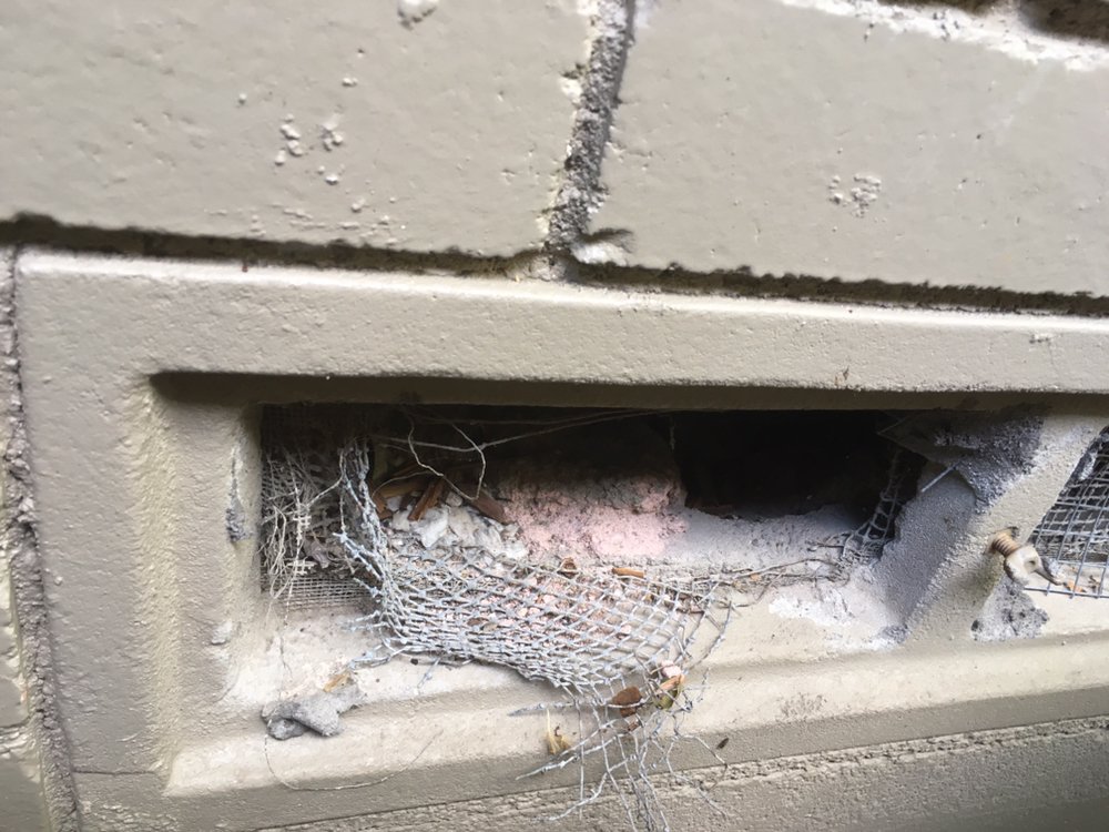Hurd's Pest Control