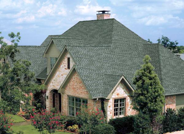 Rise Up Roofing