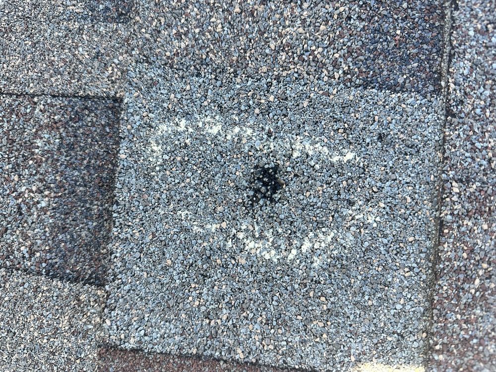 Polar Bear Roofing and Restoration