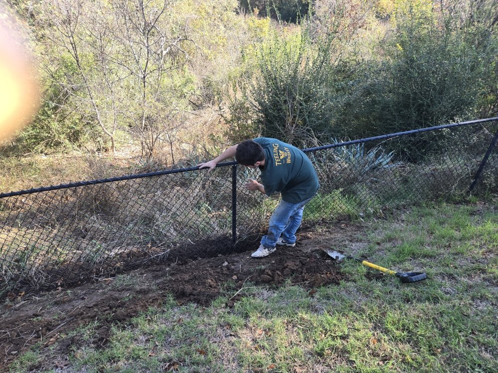 Quality Fence Repair & more