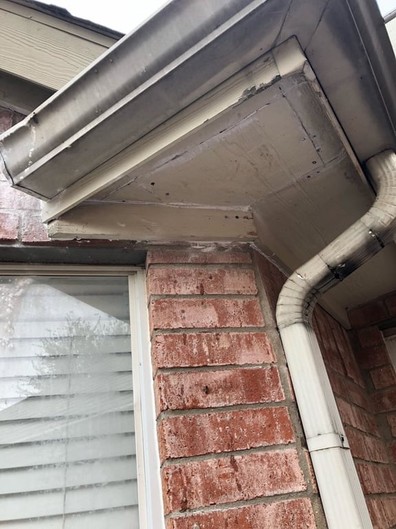 Bee Safe Bee Removal