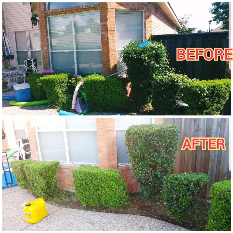 Arboreal Lawn & Landscape