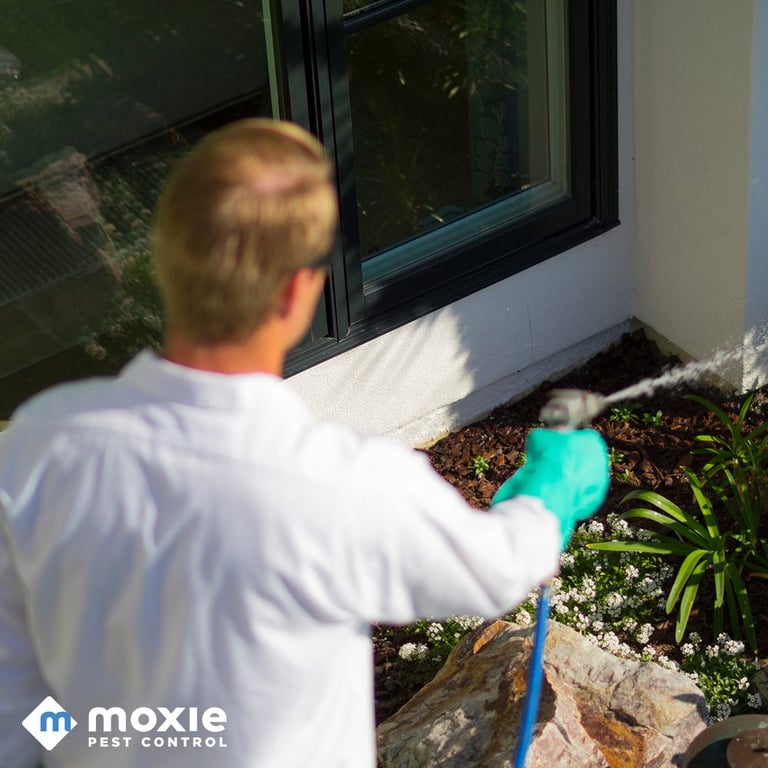Moxie Pest Control - Dallas
