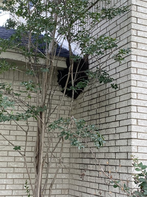 Bee Safe Bee Removal