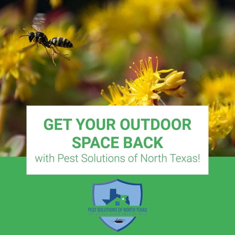 Pest Solutions of North Texas