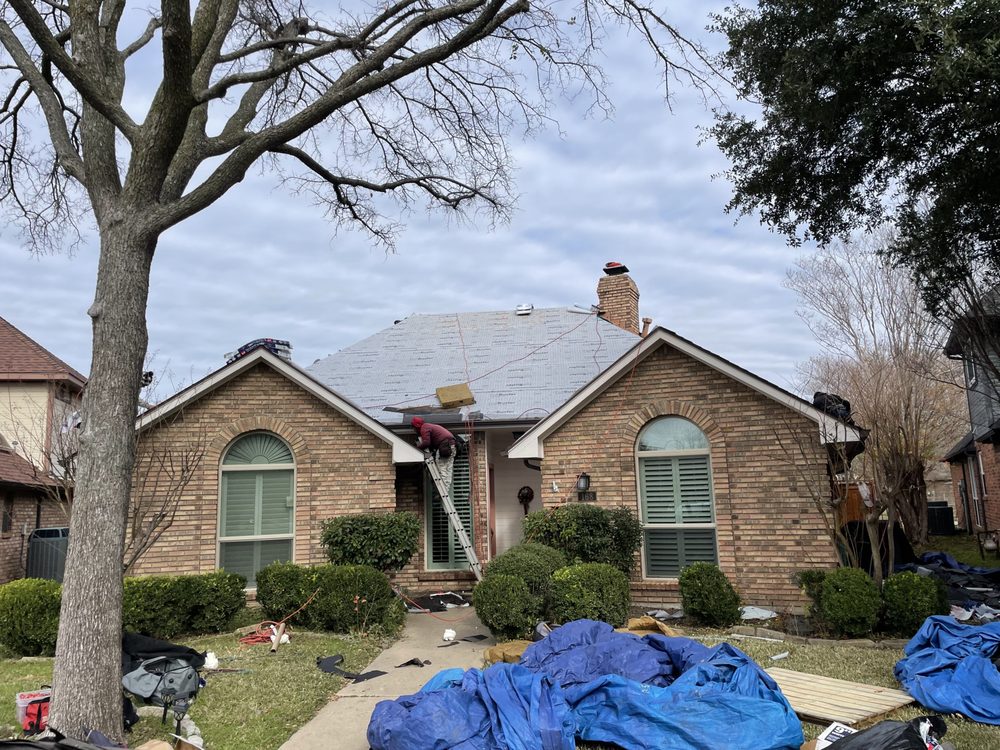 Zeus Exteriors