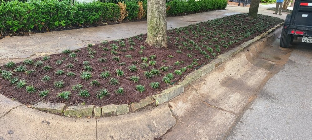 Xscapes Irrigation and Landscapes