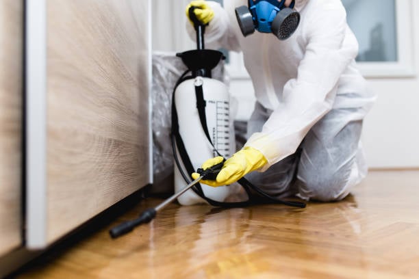 Prime Pest Experts Wylie TX