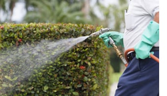 Home Run Pest & Termite Control