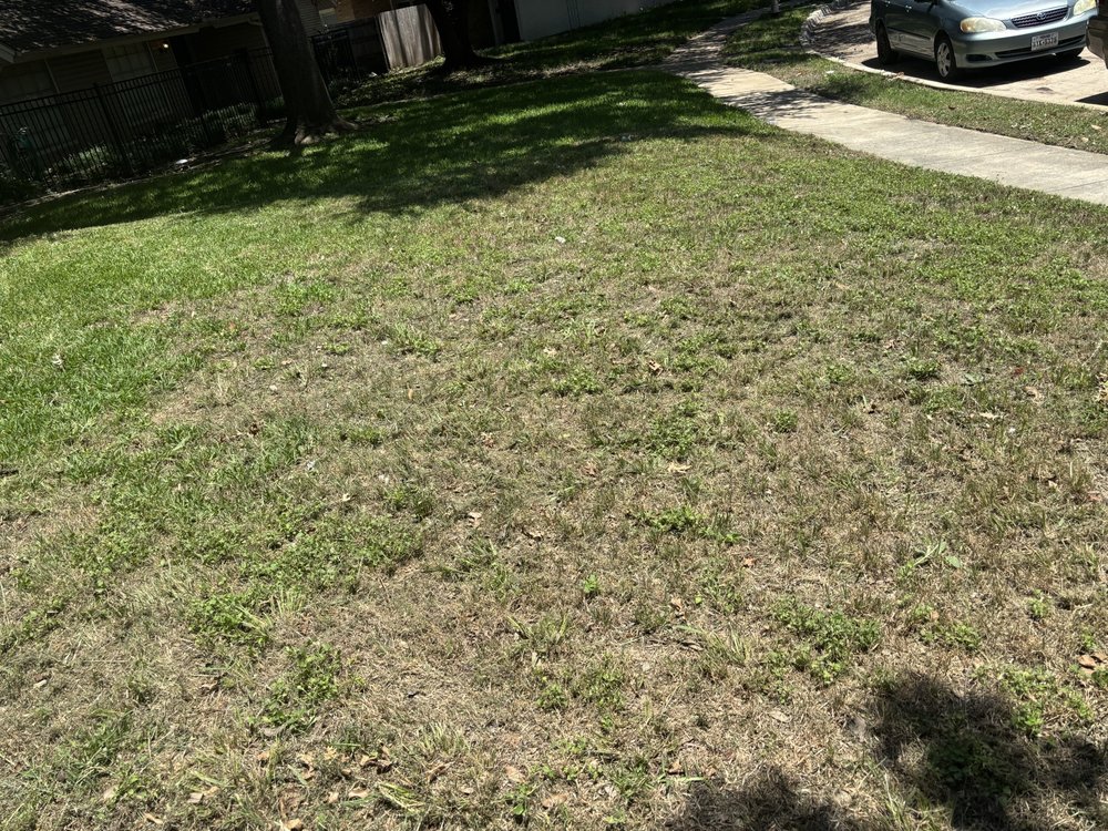 Dallas Mowing Solutions