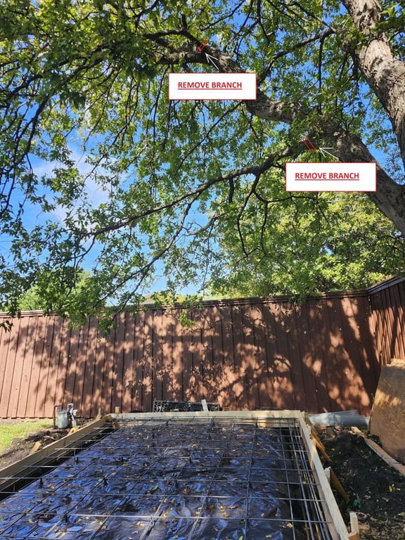 Zelaya Landscape and Tree Service