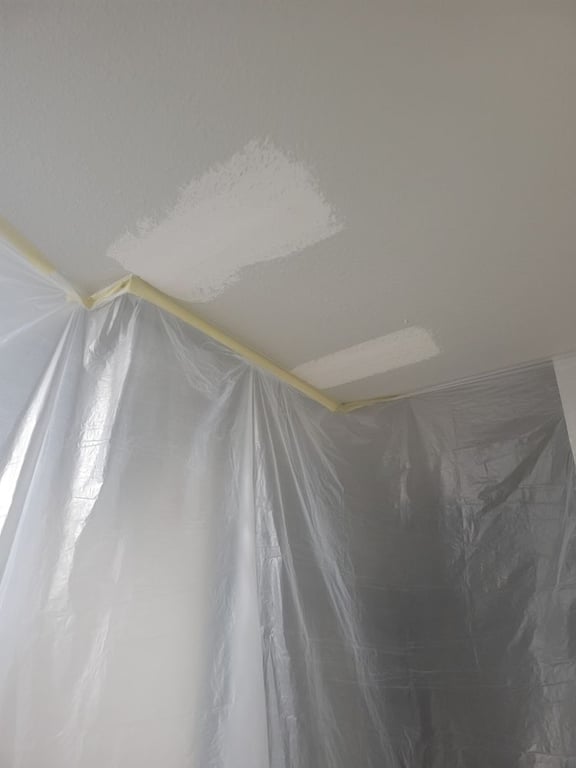 Lopez Pro Painting