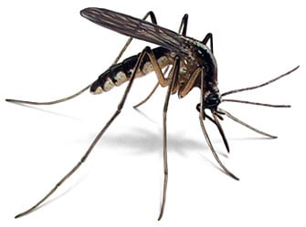 M W Exterminating