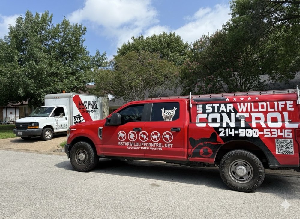 5 Star Wildlife Control