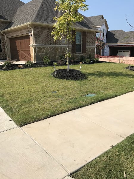 Lawn Sense