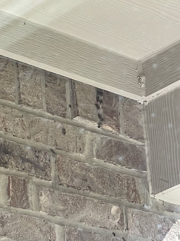 Little Giant Beekeepers & Bee Removal Specialists