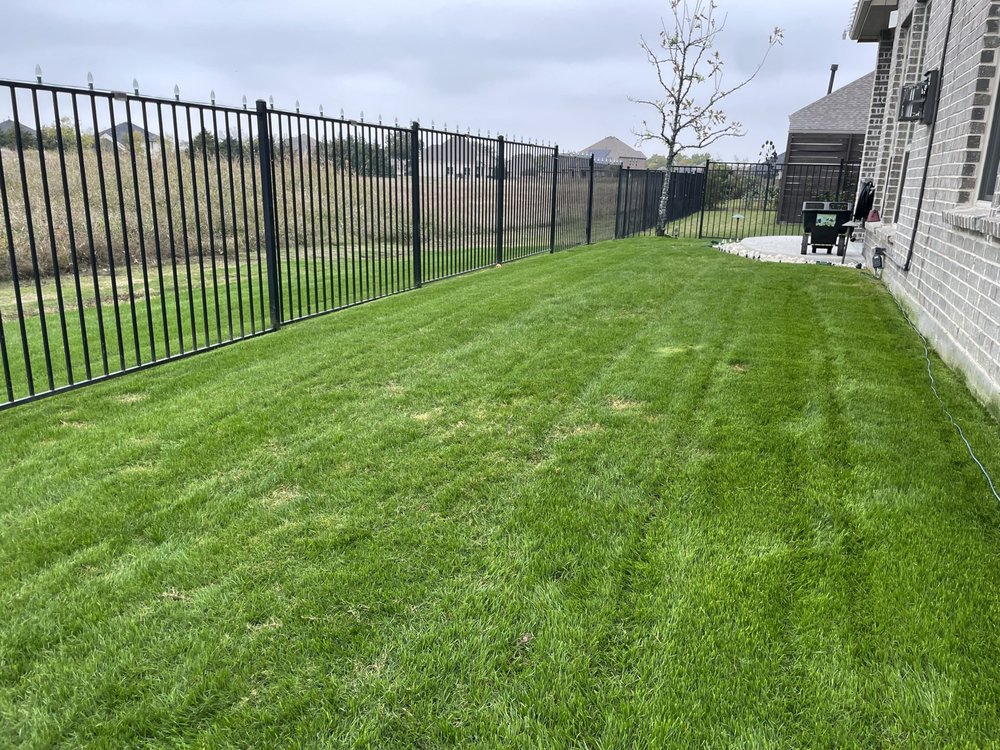 Verde Lawn DFW
