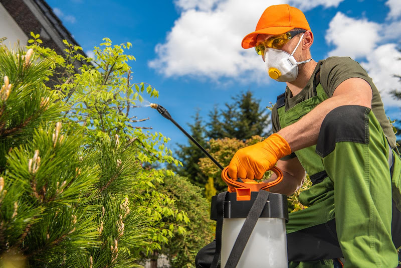 Trusted Pest Control Arlington