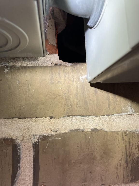 All Pest Solutions