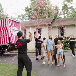 Pink Zebra Moving