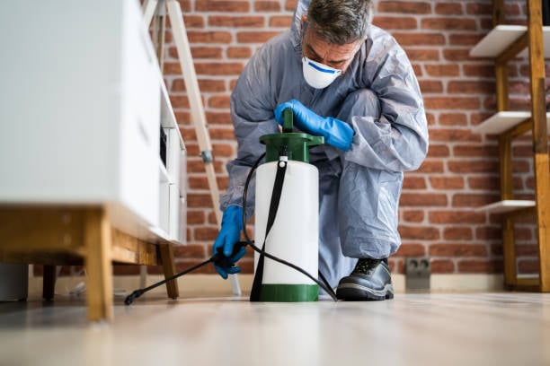 Prime Pest Experts Wylie TX