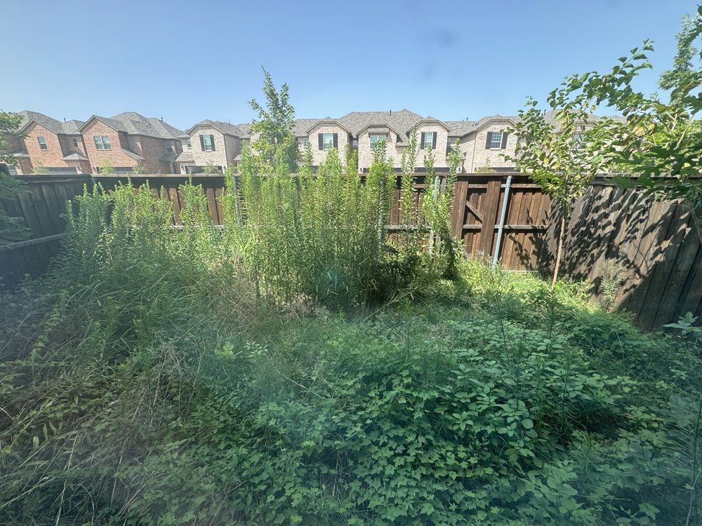 Dallas Mowing Solutions