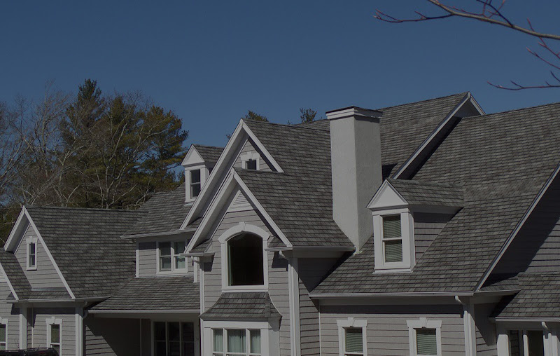 Rise Up Roofing