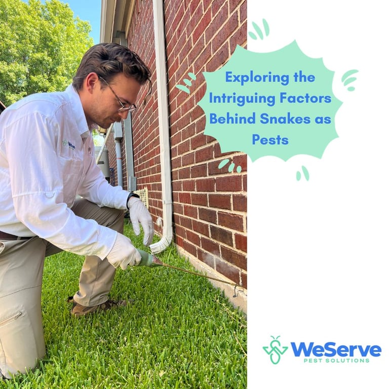 WeServe Pest Solutions