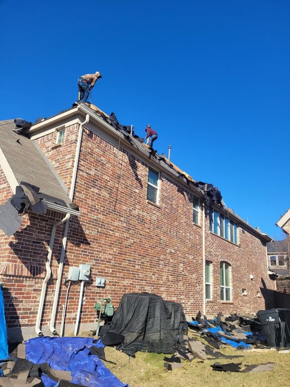 Bold Roofing