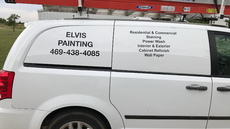 Elvis Painting co
