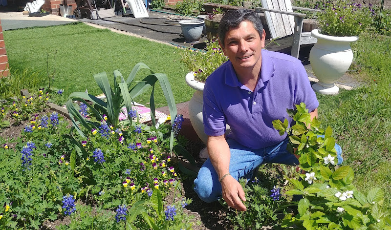 Reyna's Enviro Solutions Pest Control