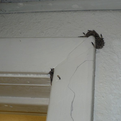 C & S Pest Control, Inc.