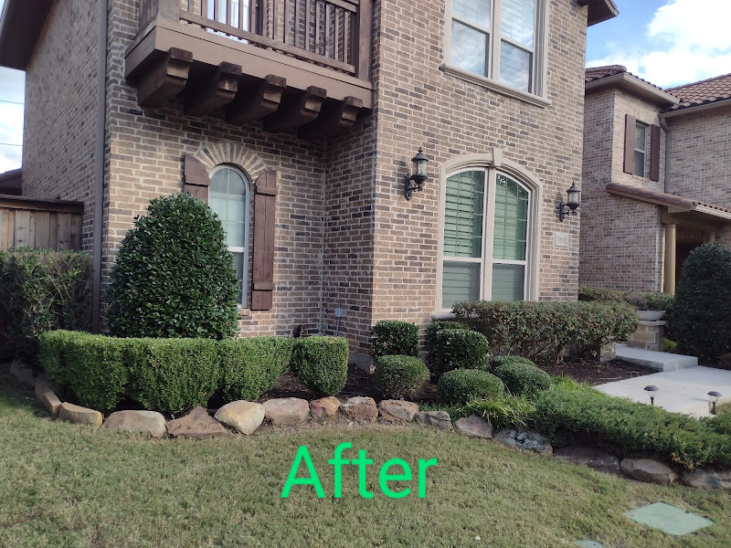 Revival Landscaping LLC