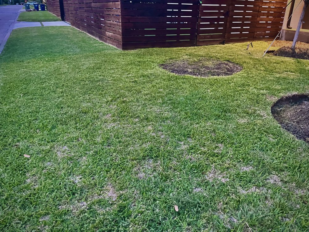 Dallas Mowing Solutions