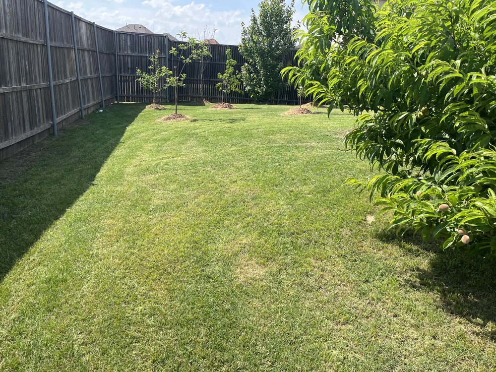 Dallas Mowing Solutions