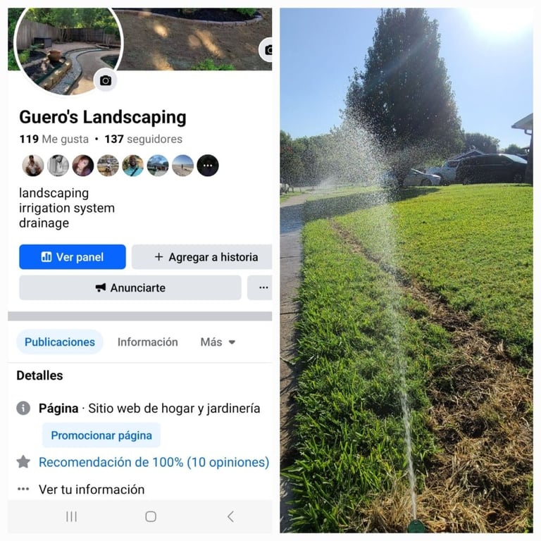 Gueros Landscaping