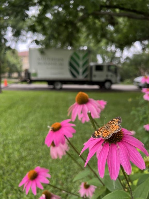 Southern Botanical Landscaping