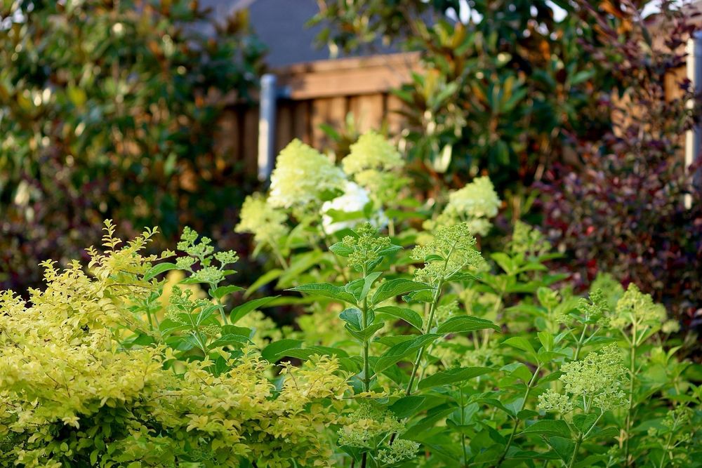 Rodriguez Landscaping