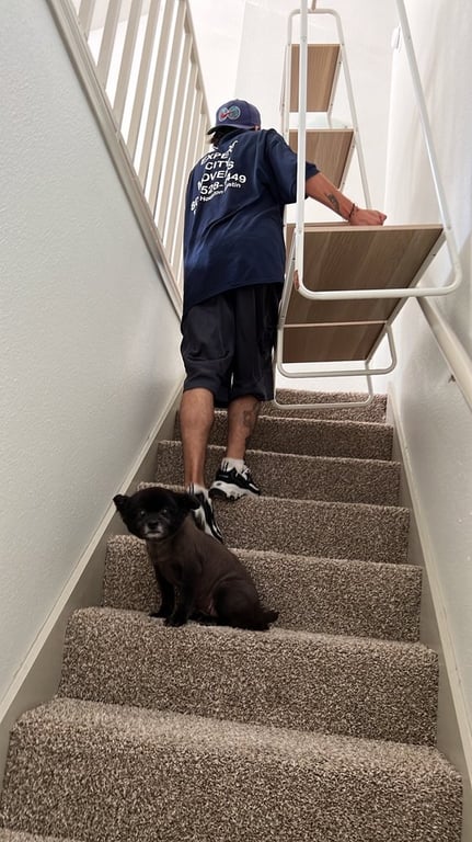 Expert Dallas Movers