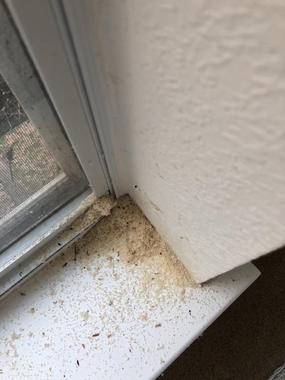Liberty Pest Control