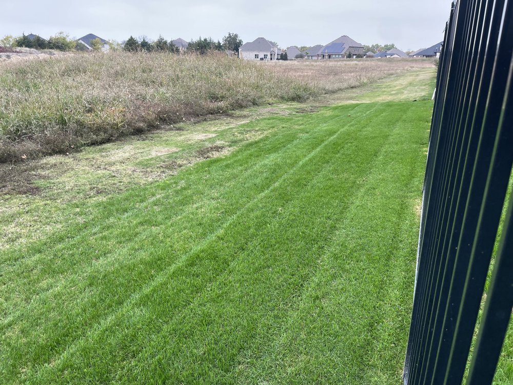 Verde Lawn DFW