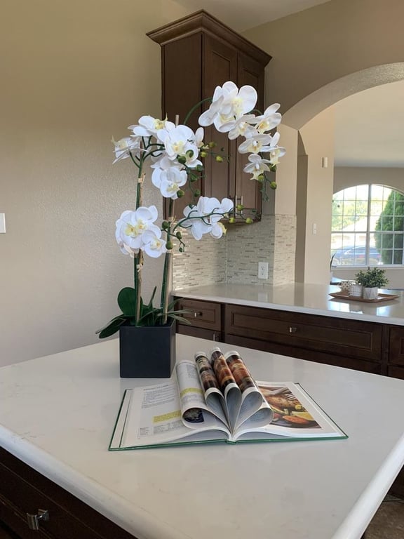 From Scratch Interiors