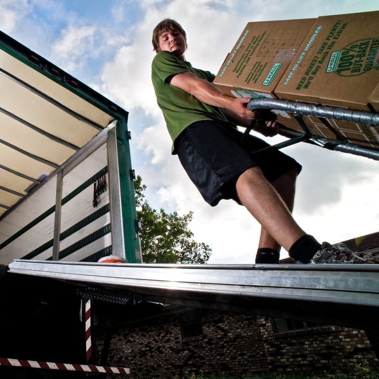 Little Guys Movers