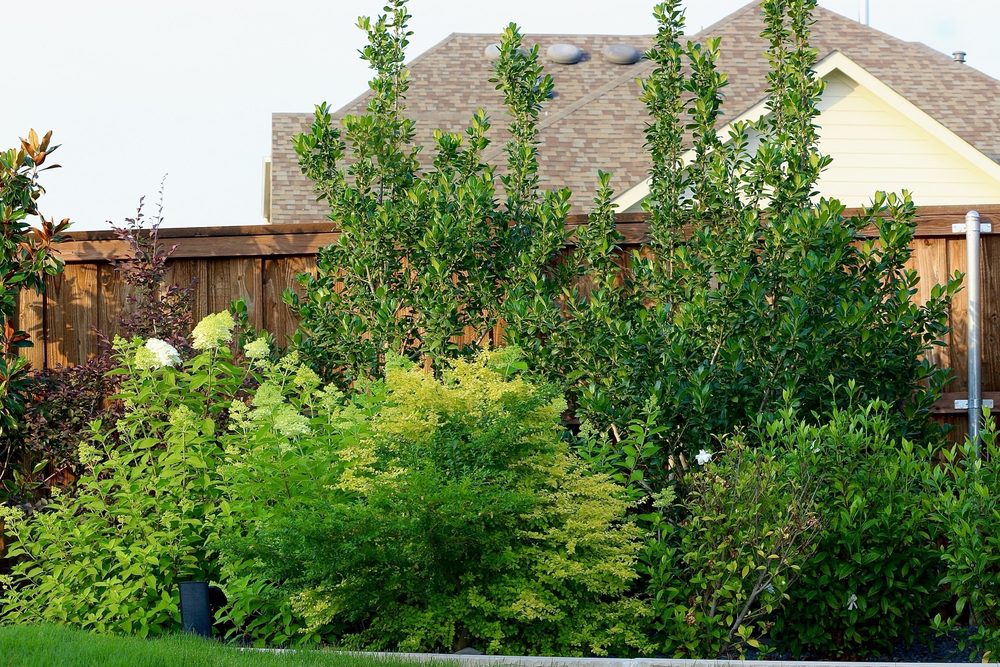 Rodriguez Landscaping