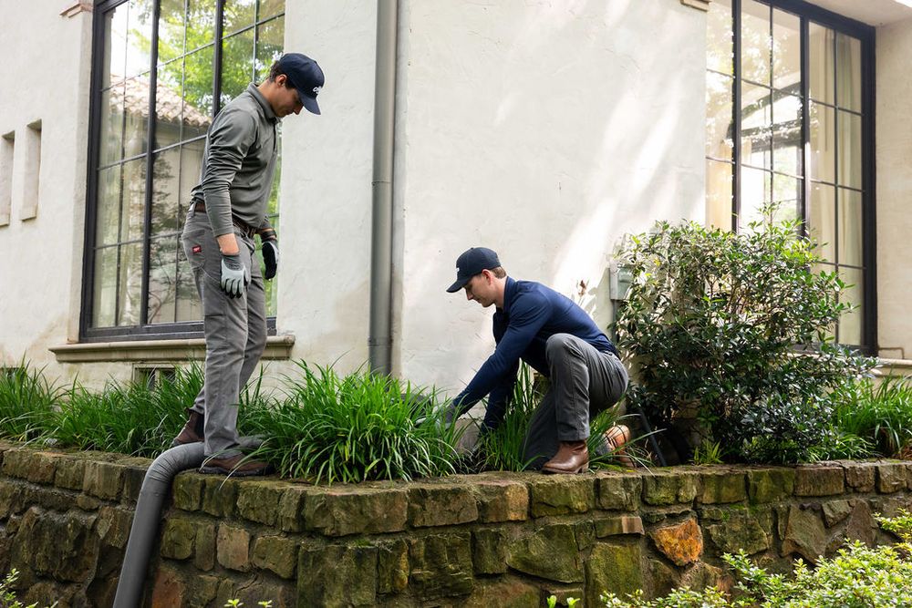 Haven Pest Solutions